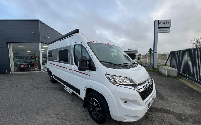 WhatsApp Image 2025-12-11 à 16.13.31_f5386199